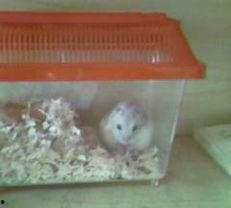 道具吃瓜小乖乖,揭秘神秘道具背后的趣味与智慧