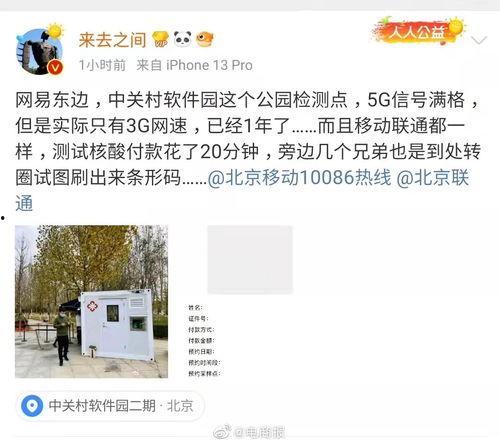 王高飞吃瓜,揭秘娱乐圈幕后故事