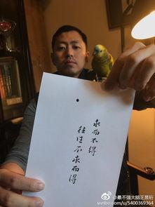 王昱珩吃瓜,揭秘娱乐圈吃瓜背后的真相与智慧