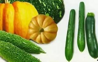 可以吃的瓜是什么瓜