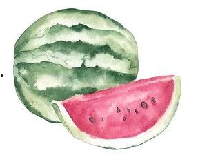 知识靠吃瓜,揭秘娱乐圈背后的真相与八卦