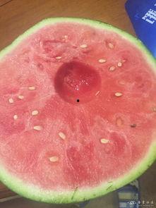 乐山吃瓜,探寻麻辣吃瓜的极致诱惑