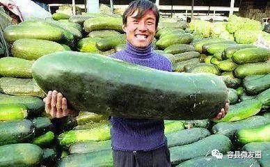 3天前吃的瓜,真相与幕后