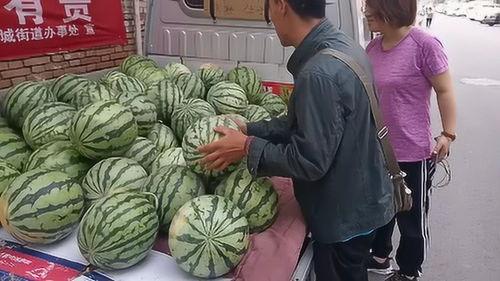 山西运城近日吃瓜,夏日里的甜蜜“瓜”闻